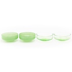 Claude Bowl Green/Green 4-pack