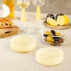 Claude Bowl Clear/Yellow 4-pack