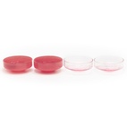 Claude Bowl Pink/Pink 4-pack