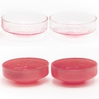 Claude Bowl Pink/Pink 4-pack