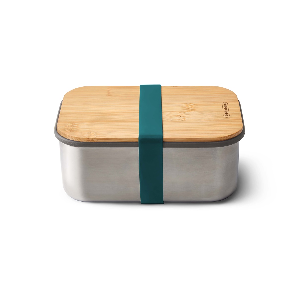 Large Sandwich Box Ocean