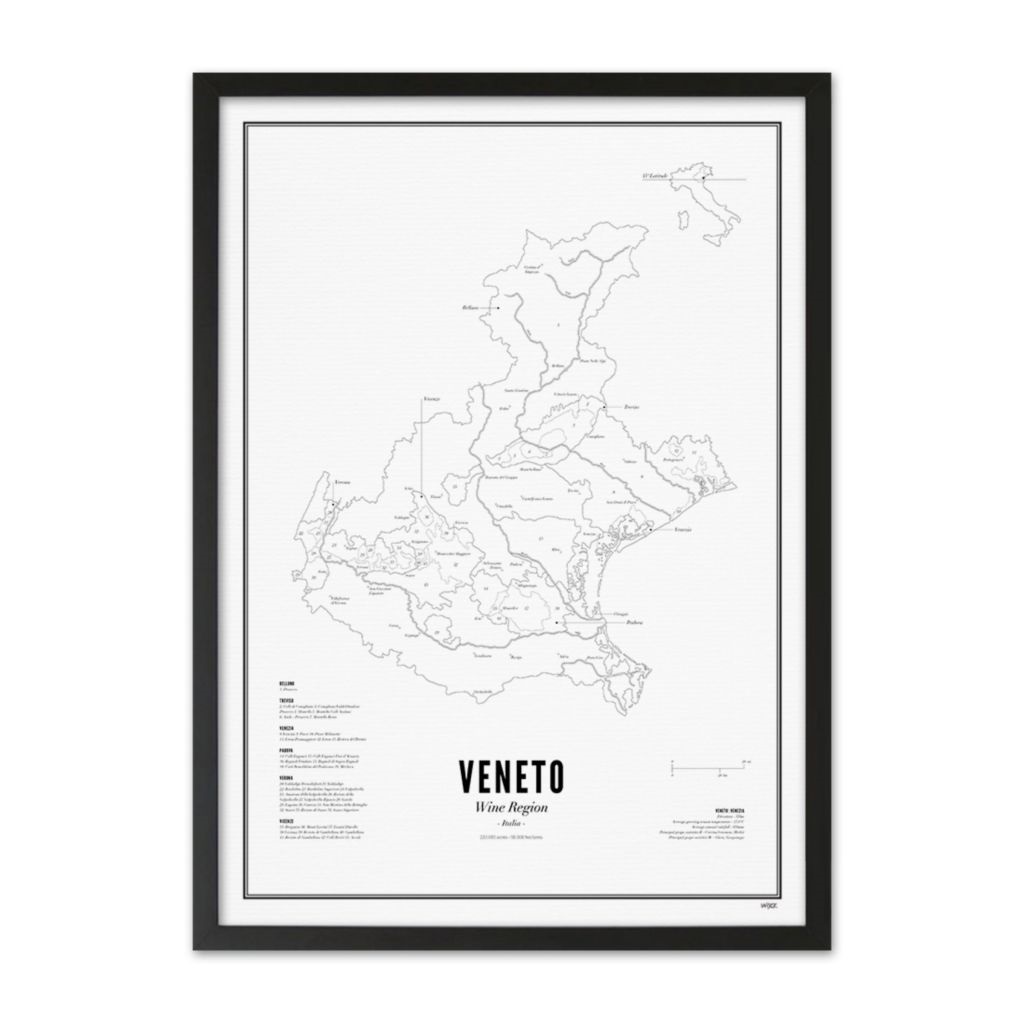 Wine Region - Veneto 40x50