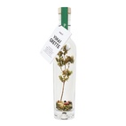 Pineut vinaigrette | bottle | Italian herbs