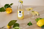 Pineut Cocktail | bottle | Limoncello