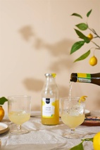 Pineut Cocktail | bottle | Limoncello