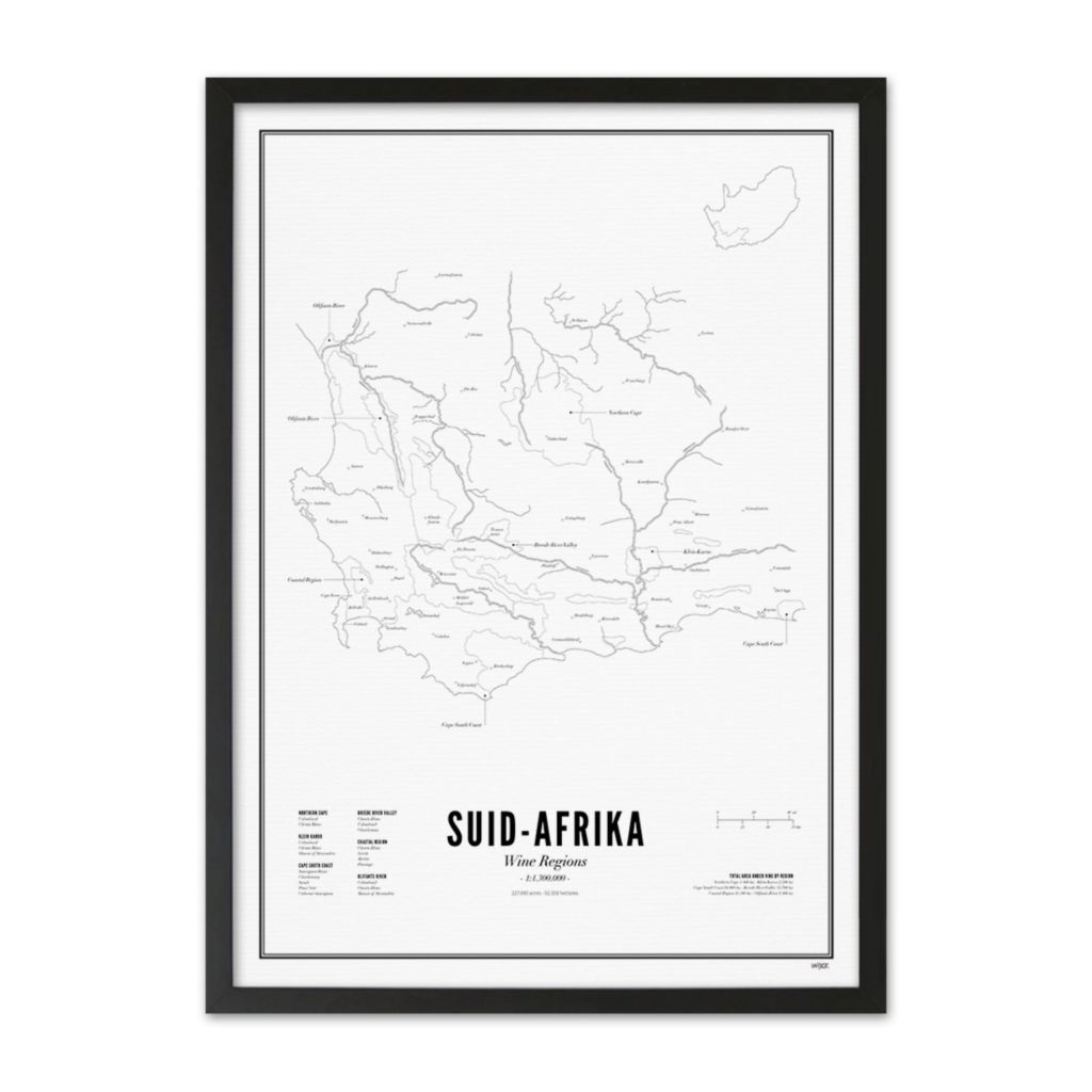 Wine Region - South Africa 50x70