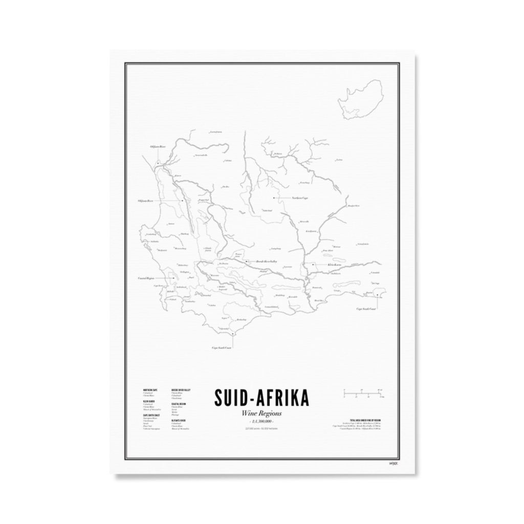 Wine Region - South Africa 40x50