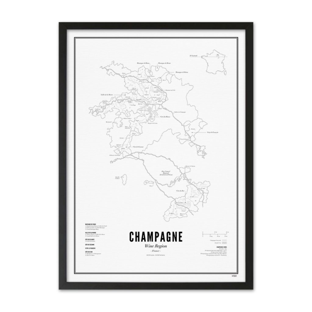 Wine Region - Champagne 50x70