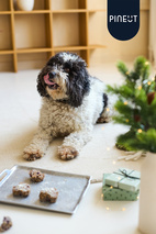 Pineut Woof Bake