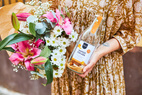Pineut summer drink | carafe | mango colada