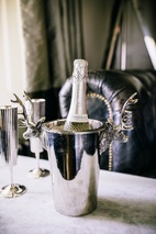 Hjort vinkylare för en flaska