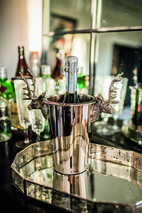 Hjort vinkylare för en flaska